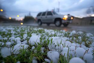 雷竞技下载教程